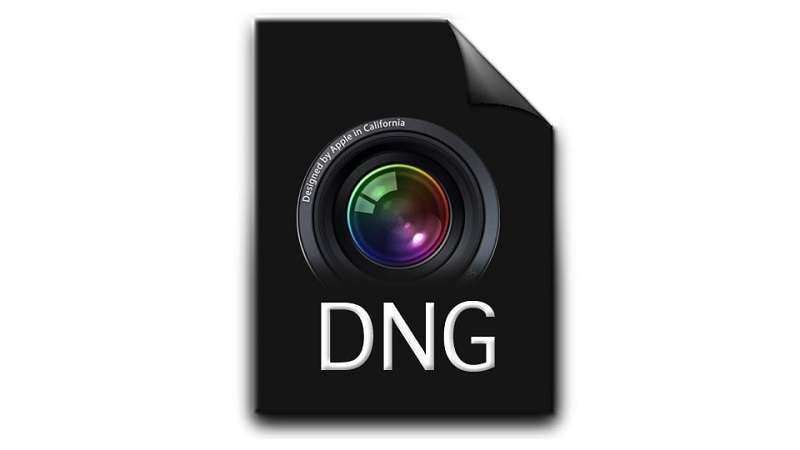 Ảnh minh họa. Nguồn: PNGHut