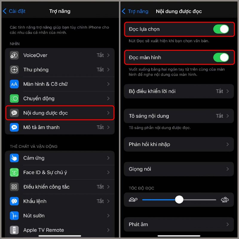 Cách đọc màn hình iPhone bằng Tiếng Việt dễ dàng