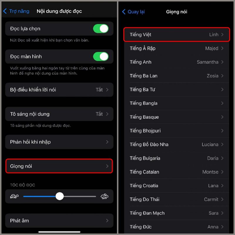 Cách đọc màn hình iPhone bằng Tiếng Việt dễ dàng