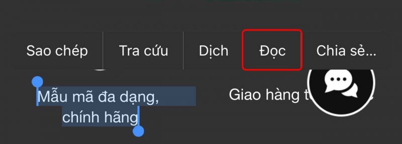 Cách đọc màn hình iPhone bằng Tiếng Việt dễ dàng