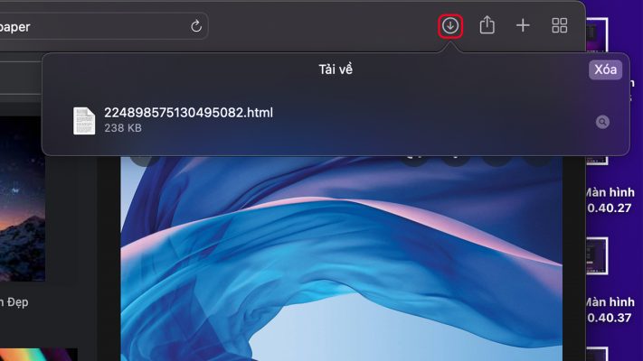 Cách quản lý tệp tải xuống Safari trên MacBook cực dễ dàng