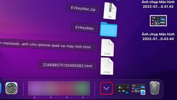 Cách quản lý tệp tải xuống Safari trên MacBook cực dễ dàng