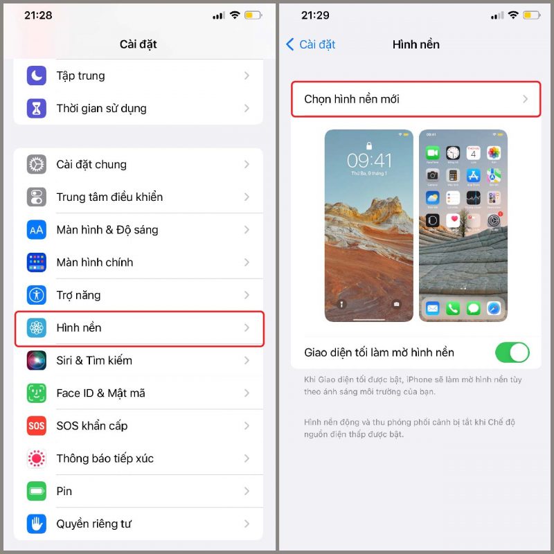 Hình nền iPhone siêu cute! Tải ngay về cho dế yêu của bạn