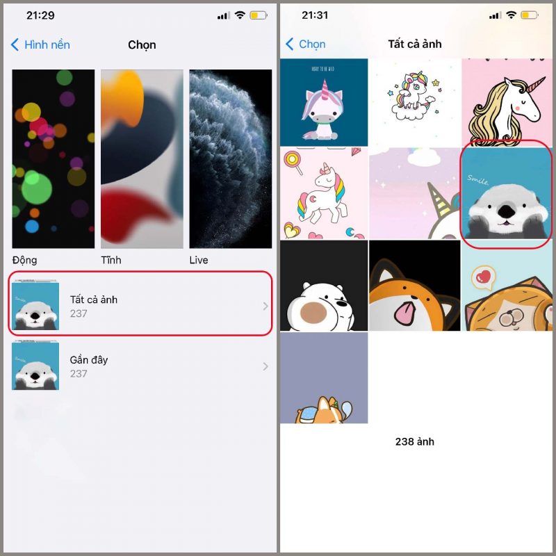 Hình nền iPhone siêu cute! Tải ngay về cho dế yêu của bạn
