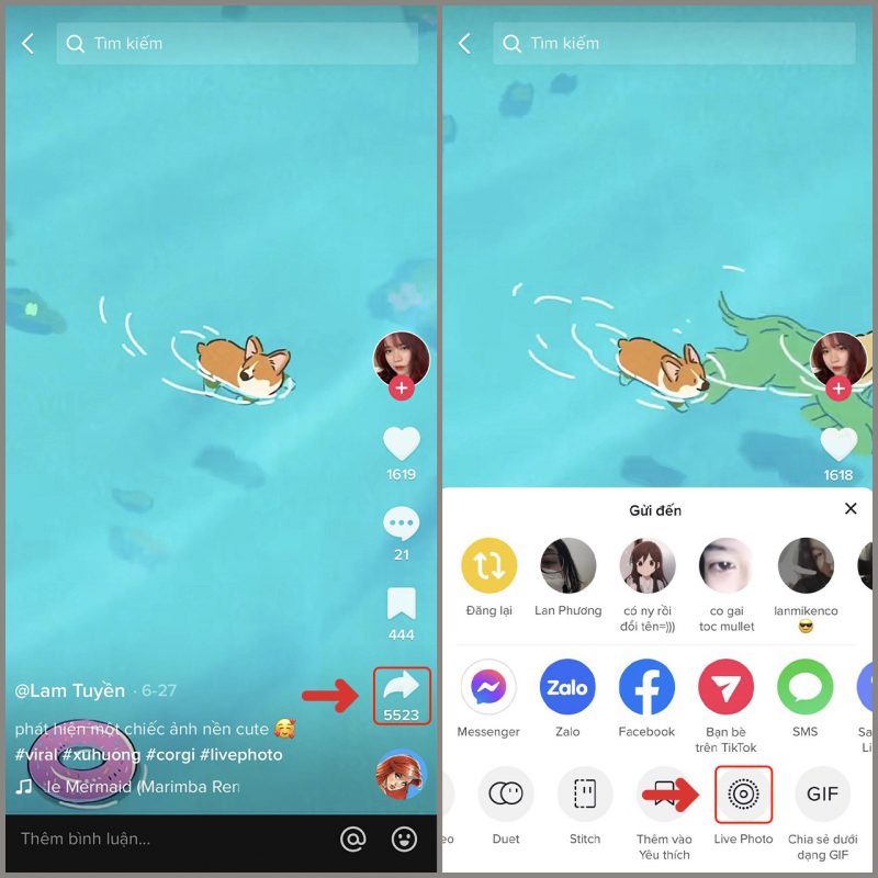 Cách đặt video TikTok làm hình nền iPhone thêm sinh động, đơn giản
