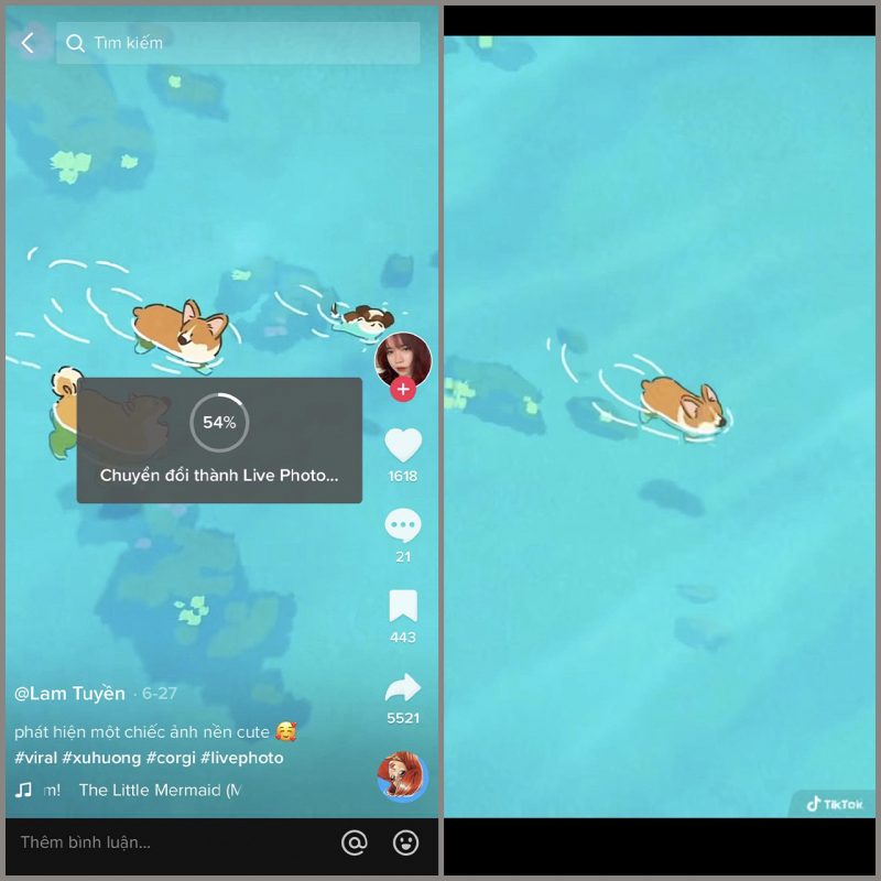 Cách đặt video TikTok làm hình nền iPhone thêm sinh động, đơn giản