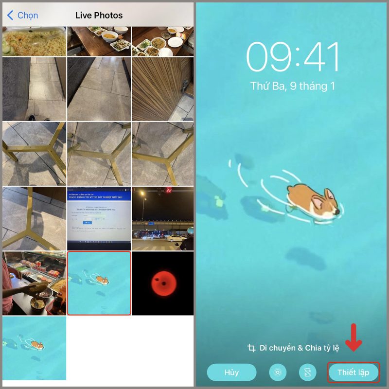 Cách đặt video TikTok làm hình nền iPhone thêm sinh động, đơn giản