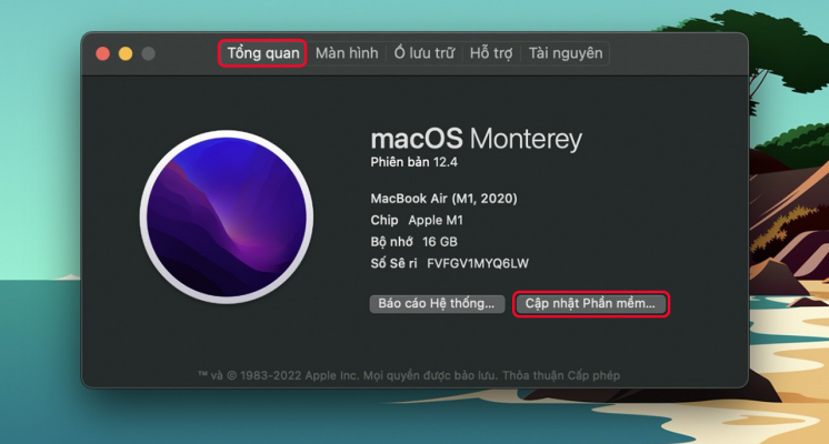 Top 3 cách khắc phục MacBook bị chậm cực kì hiệu quả