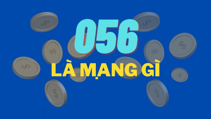 Đầu 056 là mạng gì? Ý nghĩa thực sự của 056 là gì?