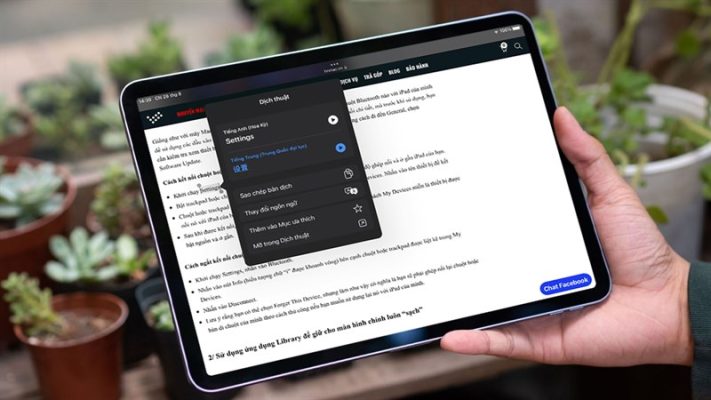 Cách dịch văn bản trên iPad dễ dàng, nhanh chóng